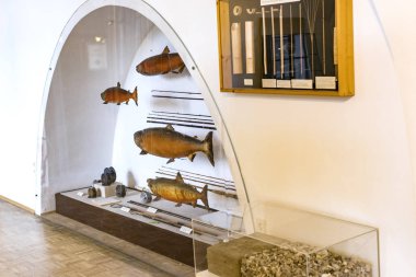 MUNİK, Almanya - 24 Kasım 2018 Hayvanların, boynuzların ve balık avlama araçlarının tarihinin sergilenmesi bir avcılık ve balıkçılık müzesidir.. 