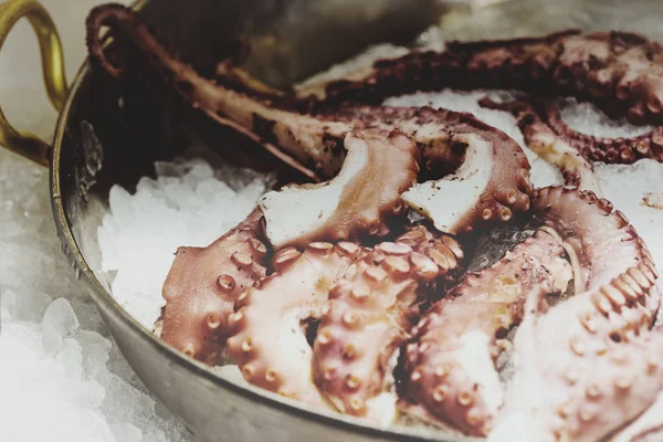 Chapadla Chobotnice Ležící Ledu Vystřelila Zblízka — Stock fotografie