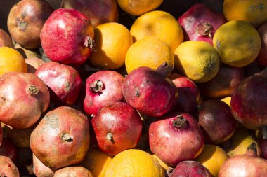 Arka planda meyveli olgun nar var. Yakın plan çekimleri. 