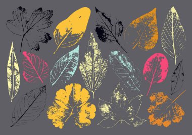 Vektör dalları ve yaprakları. Elle çizilmiş çiçek öğeleri. Vintage tek renkli botanik illüstrasyon. Beyaz bir arka plan üzerinde siyah yaprak damgası. Eko ve biyografi logolar için öğeleri.