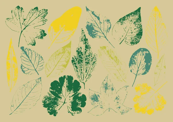 Vektör dalları ve yaprakları. Elle çizilmiş çiçek öğeleri. Vintage tek renkli botanik illüstrasyon. Beyaz bir arka plan üzerinde siyah yaprak damgası. Eko ve biyografi logolar için öğeleri.