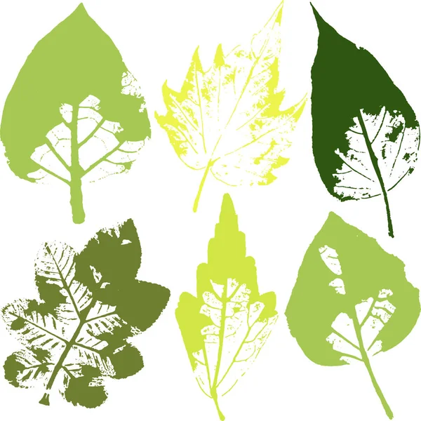 Vector ramas y hojas. Elementos florales dibujados a mano. Ilustración botánica vintage monocroma.Sello de hojas negras sobre fondo blanco.Elementos para logos ecológicos y bio . — Vector de stock