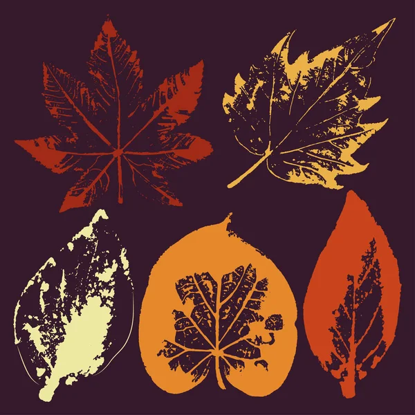 向量枝和叶。手工绘制的花元素。老式单色植物学插图。白色背景上的黑色叶子的印章。生态和生物标志元素. — 图库矢量图片