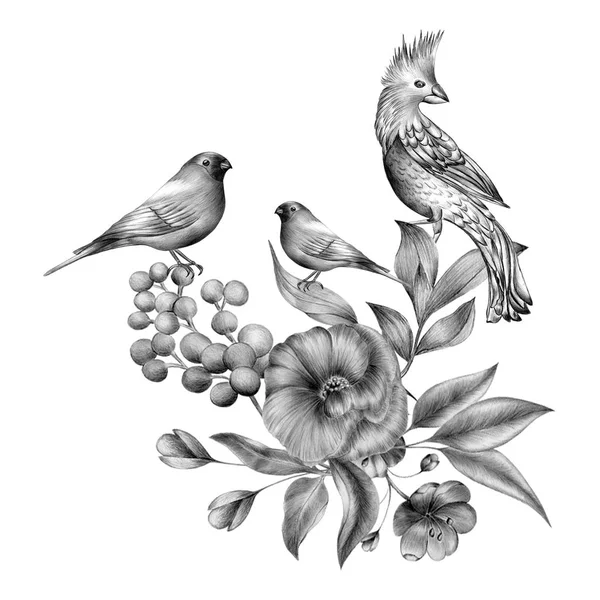 Une composition monochrome dessinée à la main de fleurs et d'oiseaux vintage. Oiseaux de printemps assis sur des branches de fleurs. Art gravé linéaire . — Photo