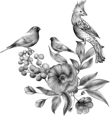Tek renkli çiçek grup kuş ile. Çizimler, mürekkep çizim.