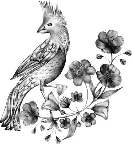 Monocromático ramo floral com pássaro. Desenhos de linha, desenho de tinta . — Vetor de Stock