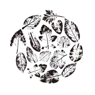 Yaprak satır Icon set. Doğurganlık ve büyüme sembolü.