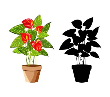 Beyaz izole kapalı ve açık peyzaj bahçe saksı bitkileri.