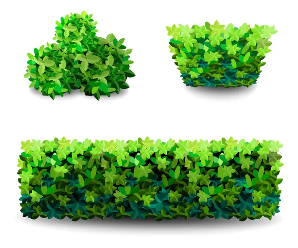 정원 부시. 녹색 정원 식물 관목 아이콘. — 스톡 사진
