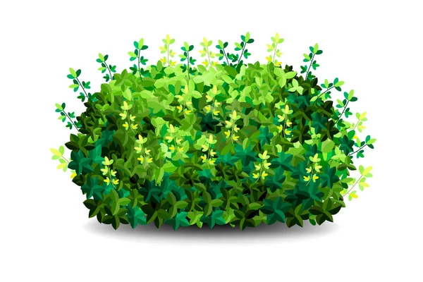 Arbusto de jardim. Verde jardim vegetação arbustos ícone . — Fotografia de Stock