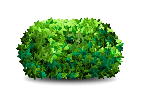 정원 부시. 녹색 정원 식물 관목 아이콘. — 스톡 사진
