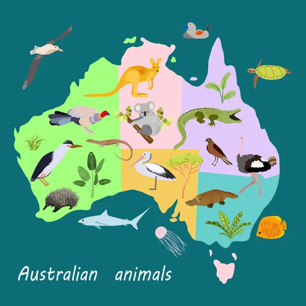 Állatok Fák Növények Hátterén Ausztrália Vektortérképe — Stock Vector