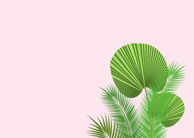 Düz yapraklar ve palmiye dalları.