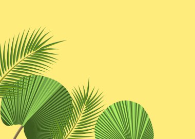 Düz yapraklar ve palmiye dalları.