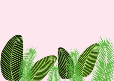 Düz yapraklar ve palmiye dalları.