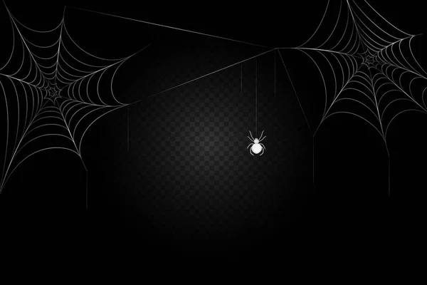 Een zwarte spin hangt op een web. Eng spinnenweb van Halloween symbool. — Stockvector