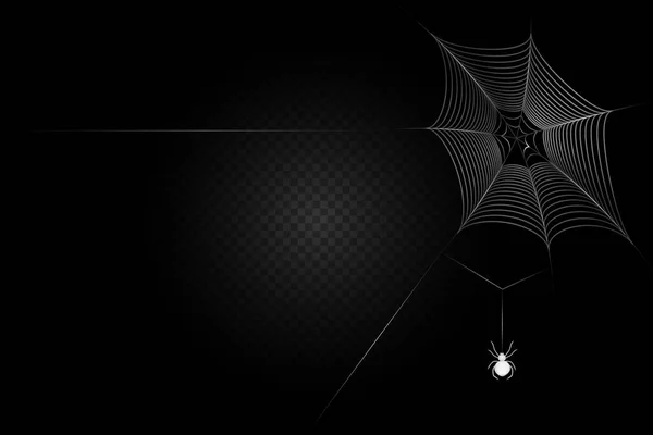 Een zwarte spin hangt op een web. Eng spinnenweb van Halloween symbool. — Stockvector