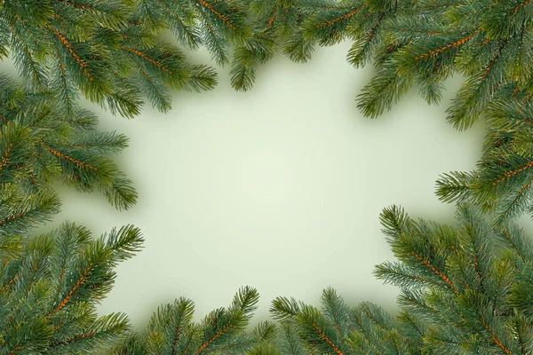 Frame Fir Branches Green Christmas Background — Stock Photo, Image