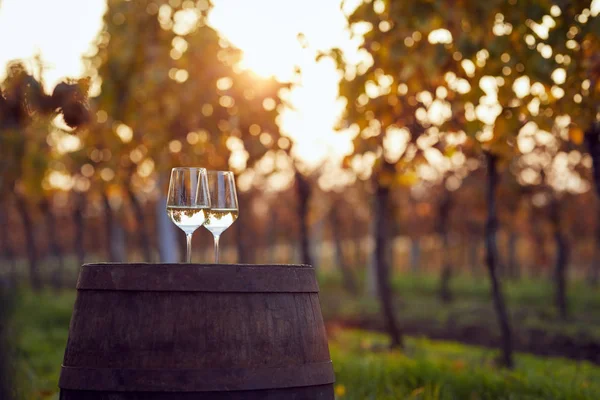 Dois Copos Vinho Branco Vinha Outono — Fotografia de Stock