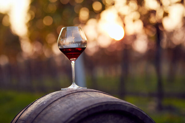 A glass of red wine on a wooden barrel in an autumn vineyard