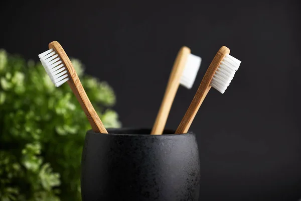 Close up of three bamboo toothbrushes in a black glass with plant — Stock Photo, Image