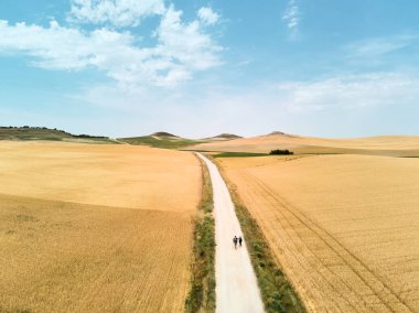 Pilgrims Walking the Camino of Santiago In Spain Countryside clipart