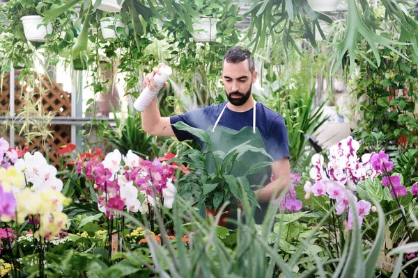 Férfi a munkahelyen, mint virágárus a virág bolt segítségével spray — Stock Fotó