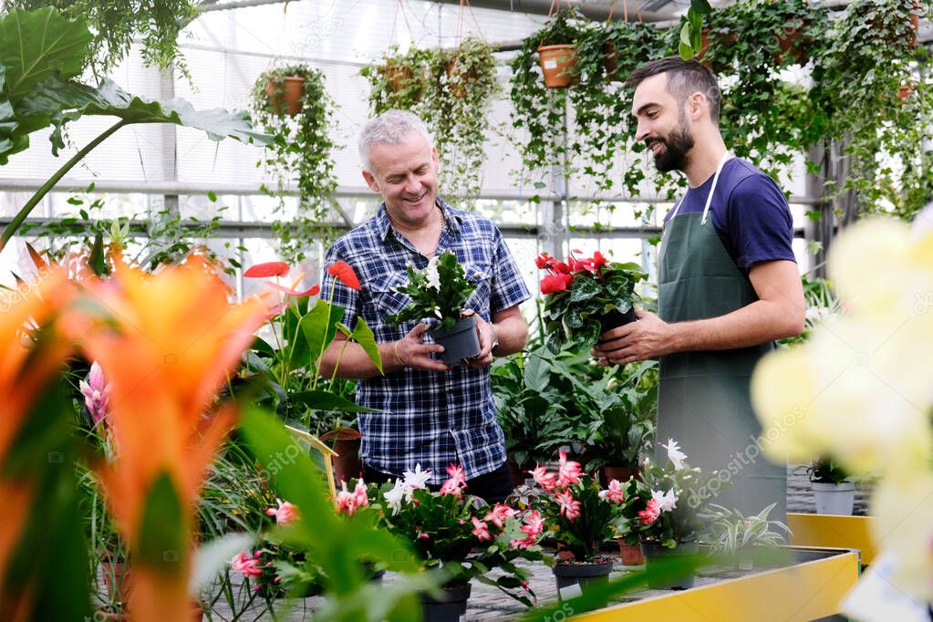 Sales Manager Talking To Client Buying Plant in Florist Shop