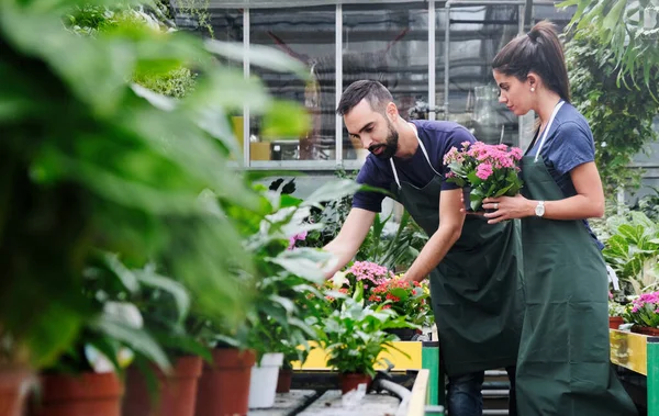 Спільна робота з щасливими співробітниками на роботі в квітковому магазині — стокове фото