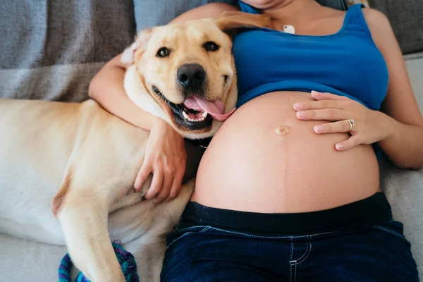 Młoda kobieta w ciąży leżąca na łóżku z psem — Zdjęcie stockowe