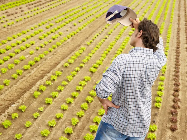 Unavený farmář utírá pot a kontemplatování rostlin ve skleníku — Stock fotografie