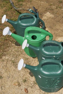 Düve proje-Sprinkler aracılığıyla Hiram House kampında dikimi