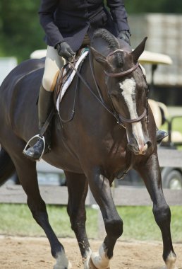 2018 avcı/Jumper Classic adlı Cleveland Metro Parklar polo alanında Ohio Moreland Hills, Amerika Birleşik Devletleri