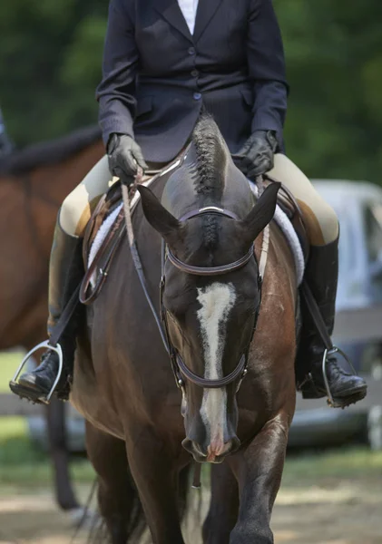 2018 Hunter/Jumper Classic at Cleveland Metro Parks polo field in Moreland Hills, Ohio USA