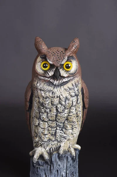 Plastic Great Horned Owl Decoy Used Scaring Birds Away — Stock Photo, Image