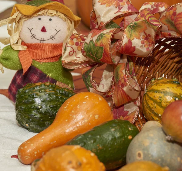 Esposizione Halloween Con Zucche Spaventapasseri Zucca Nastri Cesto Vimini Zucca — Foto Stock