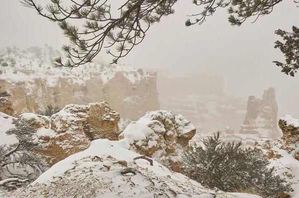 Schlucht schneebedeckt — Stockfoto