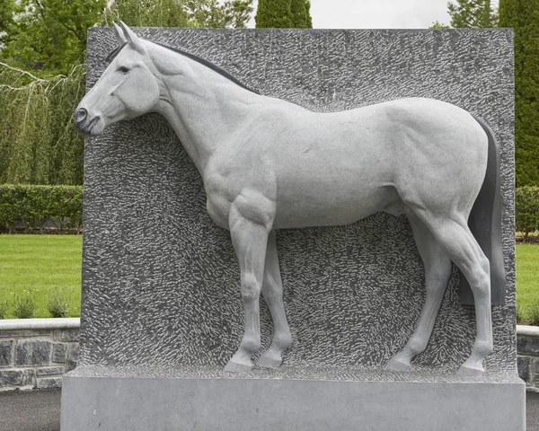 National Hřebský & Gardens-socha koní — Stock fotografie