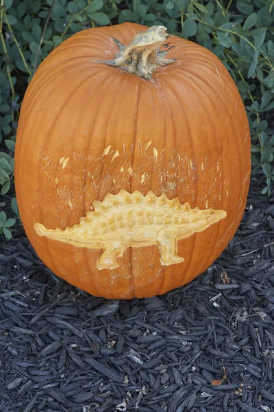 Dinosaurus Kurpitsa Veistos Contest Aikana Yhteisön Halloween Festival — kuvapankkivalokuva
