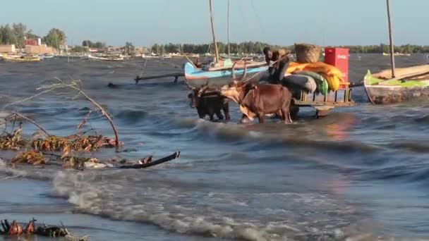 Madagascar. Port de Tuléar . — Video