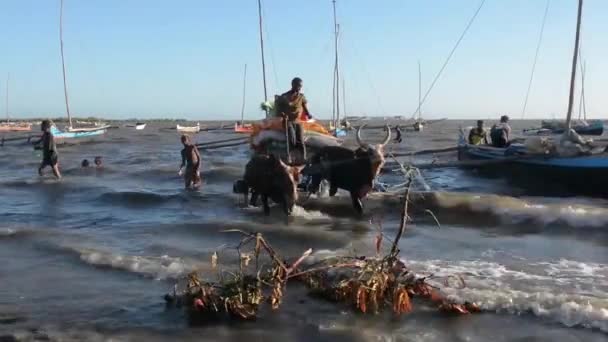 Madagaskar. Hamnen i Tulear. — Stockvideo