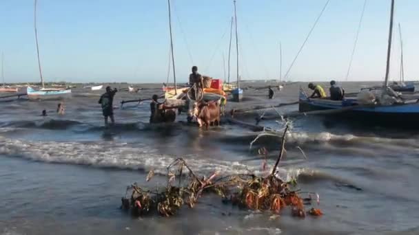 Madagascar. Port de Tuléar . — Video