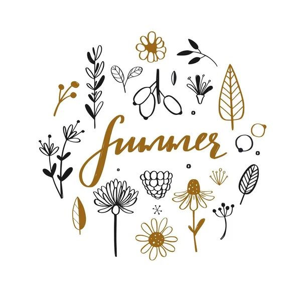 Rustik och blommig doodle set. Vector hand dras botaniska illustration. Isolerade objekt på vitt, sommaren handskrivna — Stock vektor