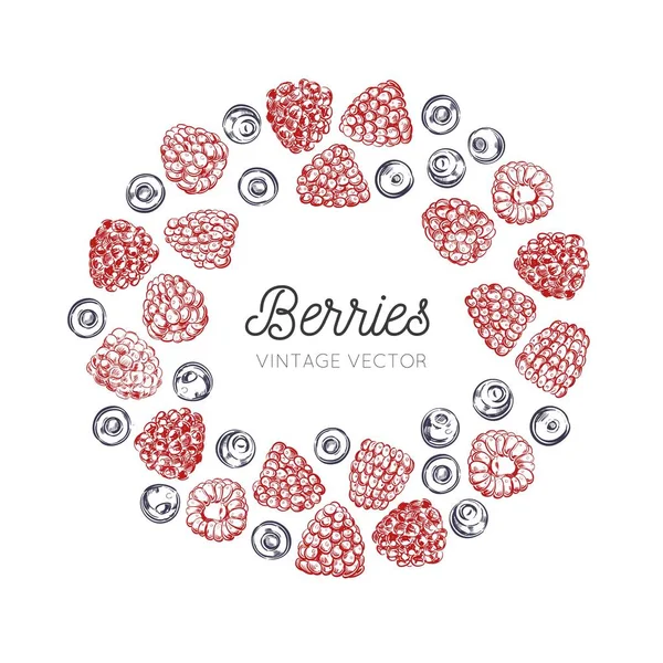 Wildberries vector marco vintage. Elementos decorativos elaborados a mano. Comida saludable, frambuesa , — Archivo Imágenes Vectoriales