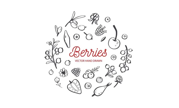 Wildbeeren und Früchte Vektorset. Himbeere, Kirsche, Erdbeere, Brombeere und andere Sommerernten. handgezeichnete isolierte Objekte auf weiß. Botanisches Doodle — Stockvektor