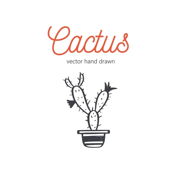 Cactus vector dibujado a mano. Bosquejo de planta de interior del desierto — Archivo Imágenes Vectoriales