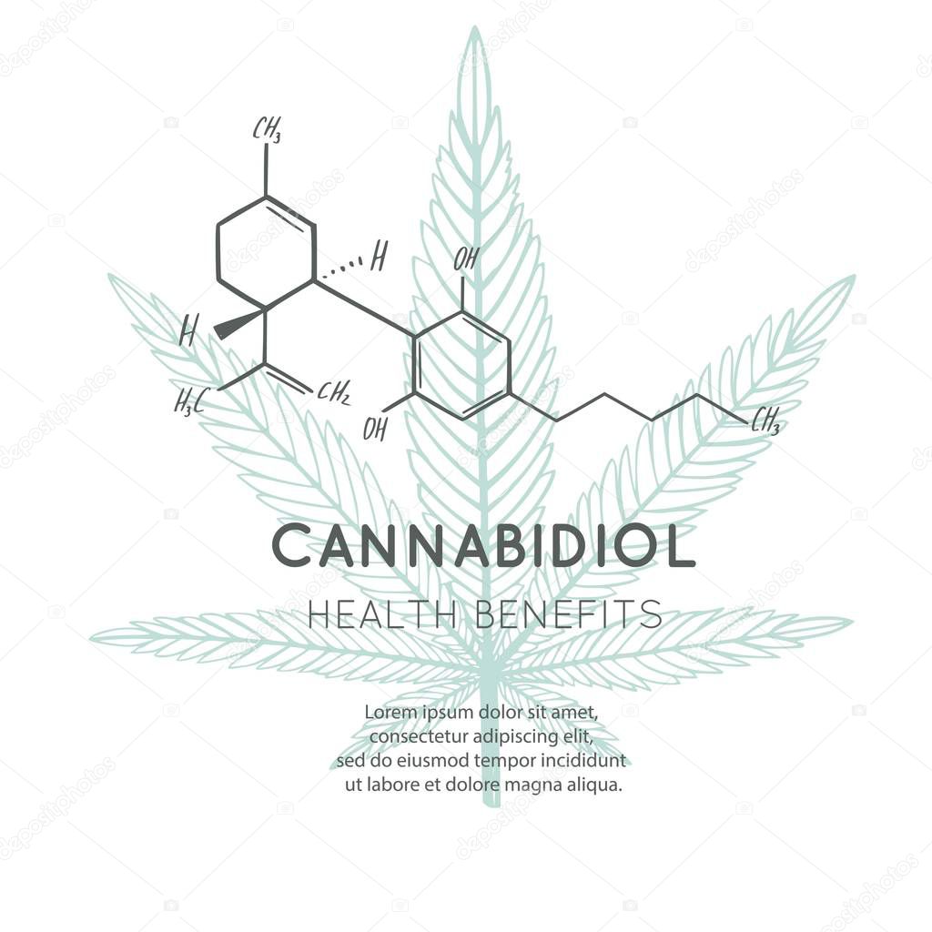 Vector background, banner, poster with CBD formula. Cannabis leaf in medecine concept. Health benefits