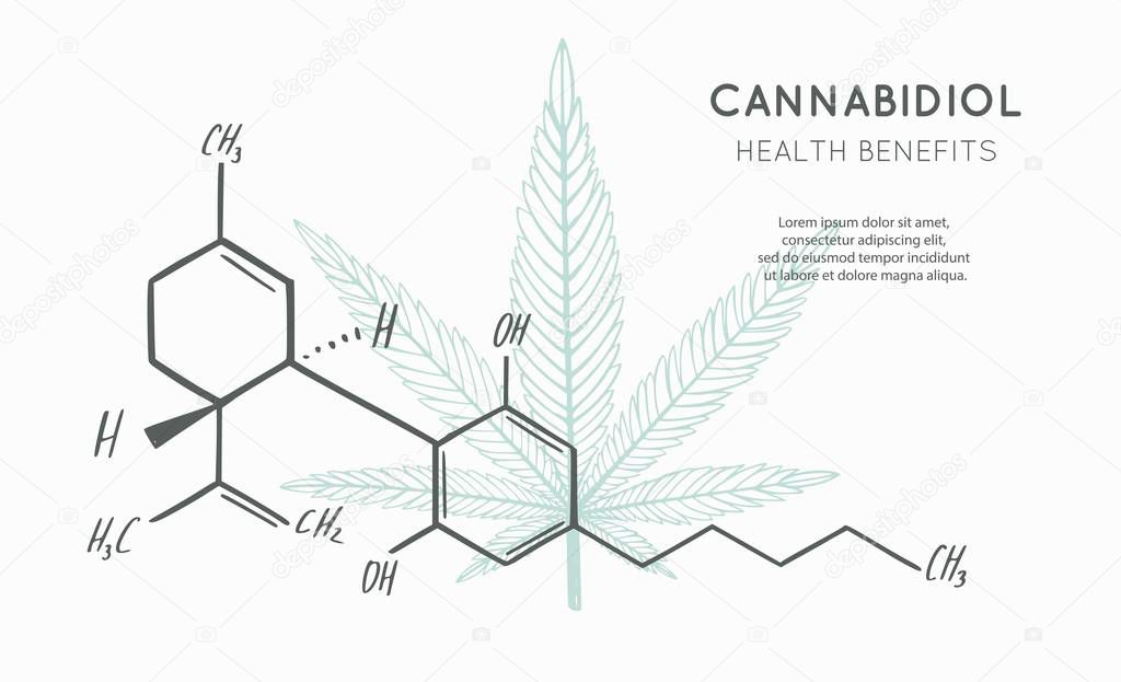 Vector background, banner, poster with CBD formula. Cannabis leaf in medecine concept. Health benefits