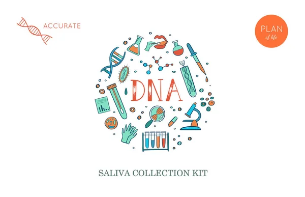 Vektor etnicitet och släktforskning DNA genetiska test Home Kit Cover, designmall, bakgrund. Handritade illustrationer av medicinsk genomforskning — Stock vektor