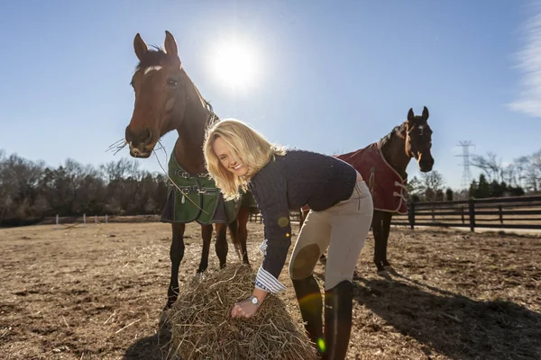 一个漂亮的金发驯马师倾向于她的马在农场 — 图库照片
